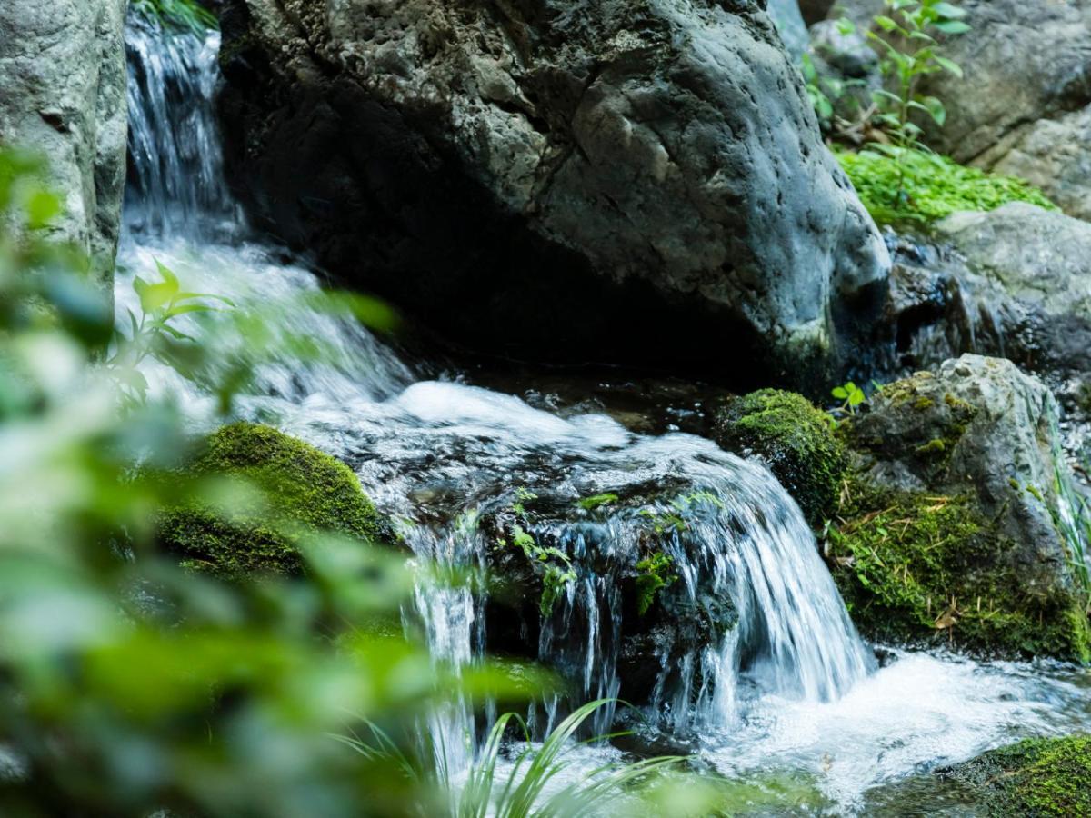 Fuefuki Japanese Onsen Ryokan Kohakuen מראה חיצוני תמונה